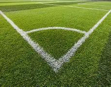 巨款悬赏,奥斯卡索求,年薪,开云体育,开云体育官网,开云体育app,开云体育平台,KAIYUN,SPORTS,kaiyun登录入口