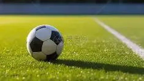 开运体育网页版 产品 105052 bta